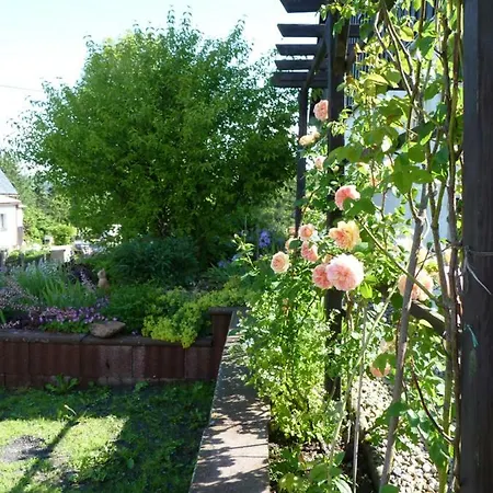 Ferienwohnung-kubis Appartement Altenberg (Monts-Métallifères)