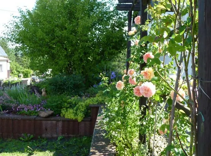 Ferienwohnung-kubis Apartment Altenberg (Erzgebirge)